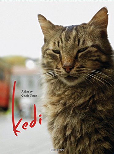 Kedi (2017) movie photo - id 475492
