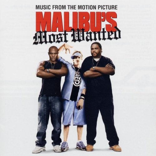 Malibu's Most Wanted (2003) movie photo - id 47905