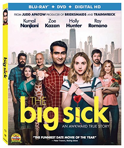 The Big Sick (2017) movie photo - id 485569