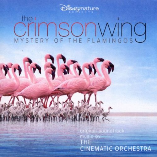 The Crimson Wing: Mystery of the Flamingos (2010) movie photo - id 48828