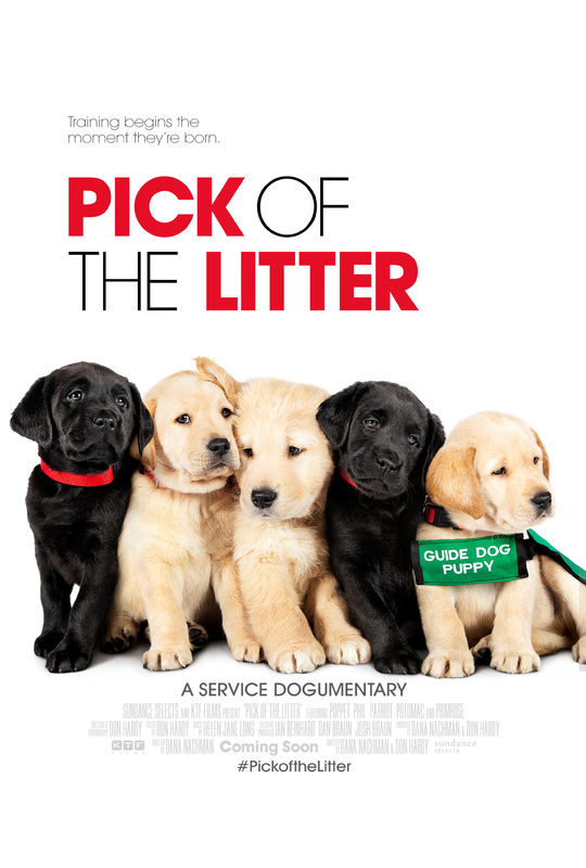 Pick of the Litter (2018) movie photo - id 492346