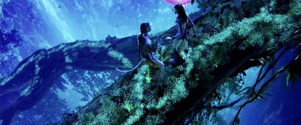 Avatar (2009) movie photo - id 12005
