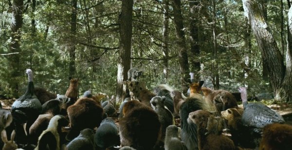 Furry Vengeance (2010) movie photo - id 12559