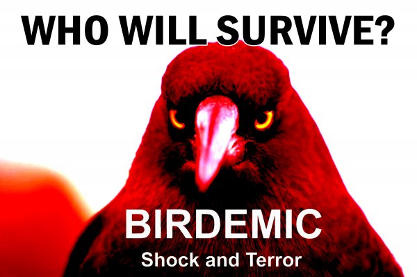 Birdemic: Shock and Terror (2012) movie photo - id 12851
