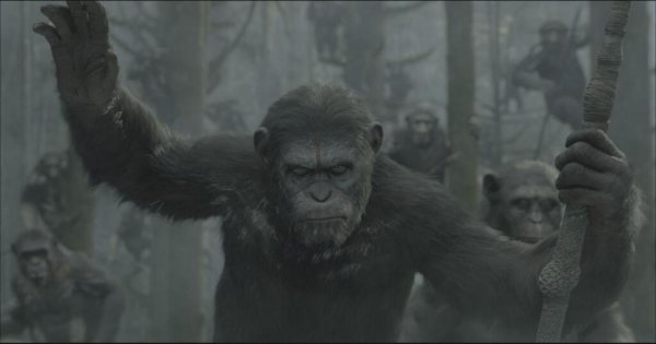 Dawn of the Planet of the Apes (2014) movie photo - id 138198