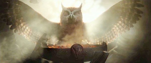 Legend of the Guardians: The Owls of Ga'Hoole (2010) movie photo - id 14723