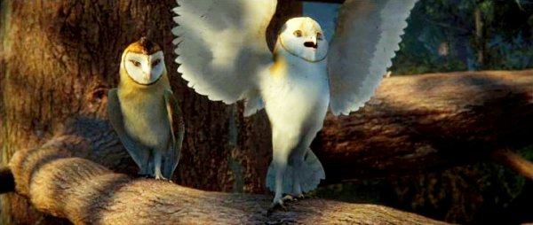 Legend of the Guardians: The Owls of Ga'Hoole (2010) movie photo - id 14725
