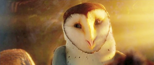 Legend of the Guardians: The Owls of Ga'Hoole (2010) movie photo - id 14727