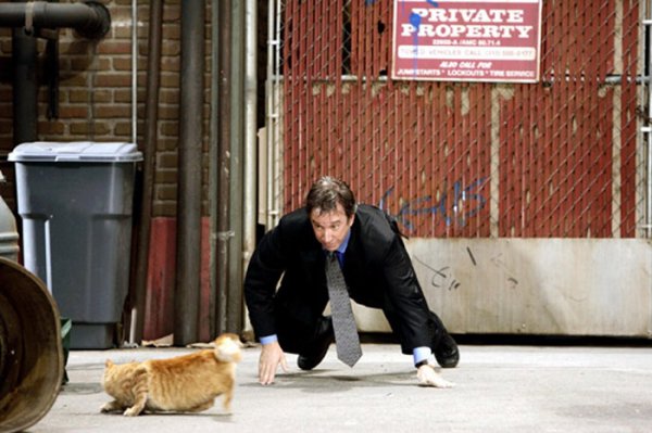 The Shaggy Dog (2006) movie photo - id 1562