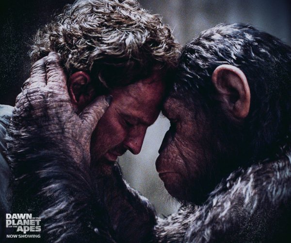 Dawn of the Planet of the Apes (2014) movie photo - id 175329