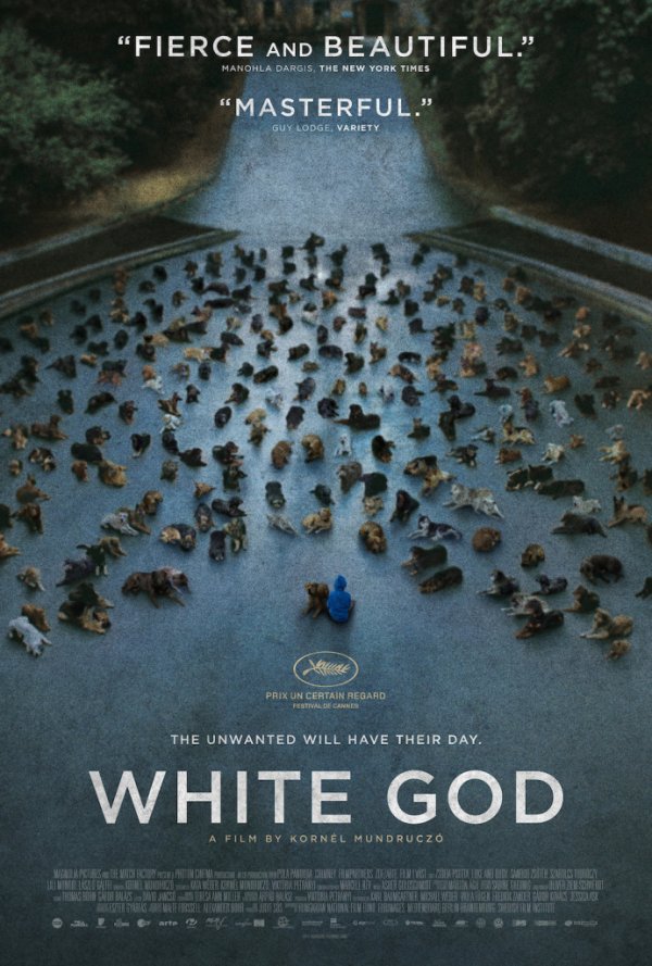 White God (2015) movie photo - id 189631