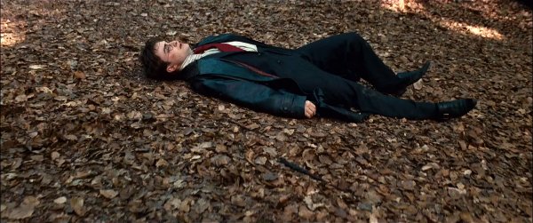 Harry Potter and the Deathly Hallows: Part I (2010) movie photo - id 21822