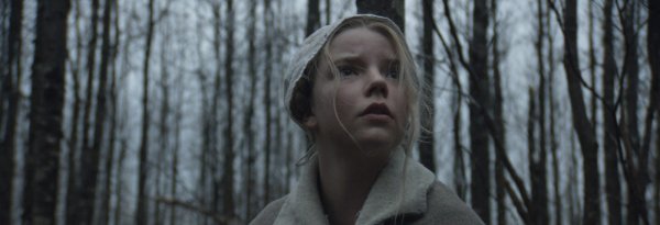 The Witch (2016) movie photo - id 233687