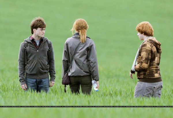 Harry Potter and the Deathly Hallows: Part I (2010) movie photo - id 24615