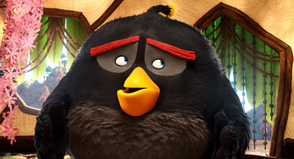 Angry Birds (2016) movie photo - id 255548