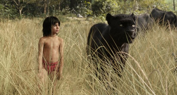 The Jungle Book (2016) movie photo - id 255819