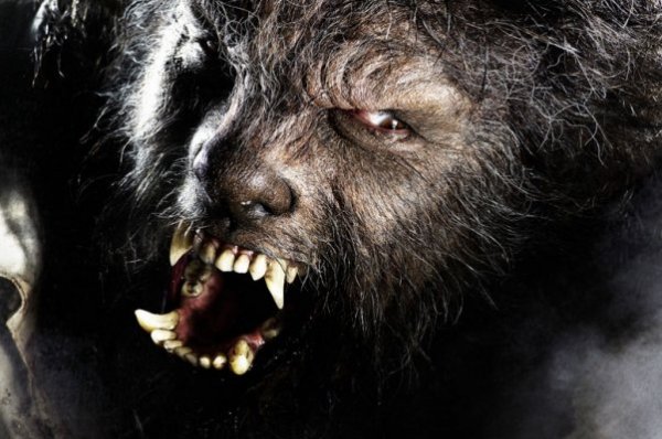 The Wolfman (2010) movie photo - id 2558