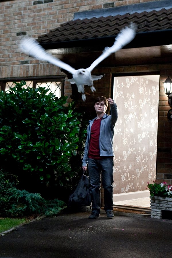 Harry Potter and the Deathly Hallows: Part I (2010) movie photo - id 25692