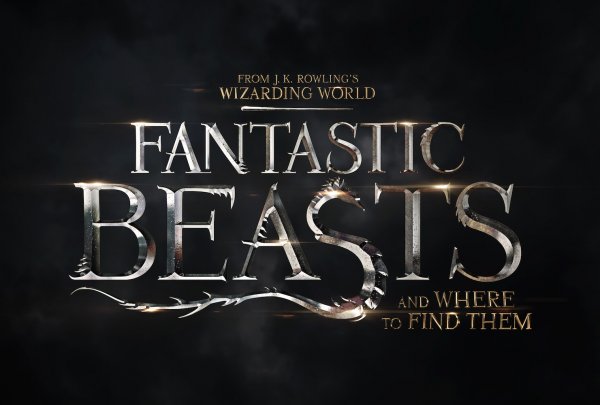 Fantastic Beasts and Where to Find Them (2016) movie photo - id 268591