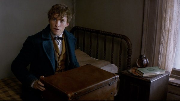 Fantastic Beasts and Where to Find Them (2016) movie photo - id 280192