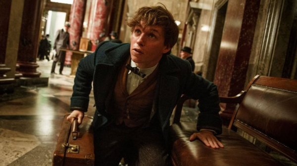 Fantastic Beasts and Where to Find Them (2016) movie photo - id 280194