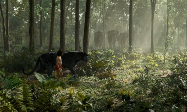 The Jungle Book (2016) movie photo - id 286548