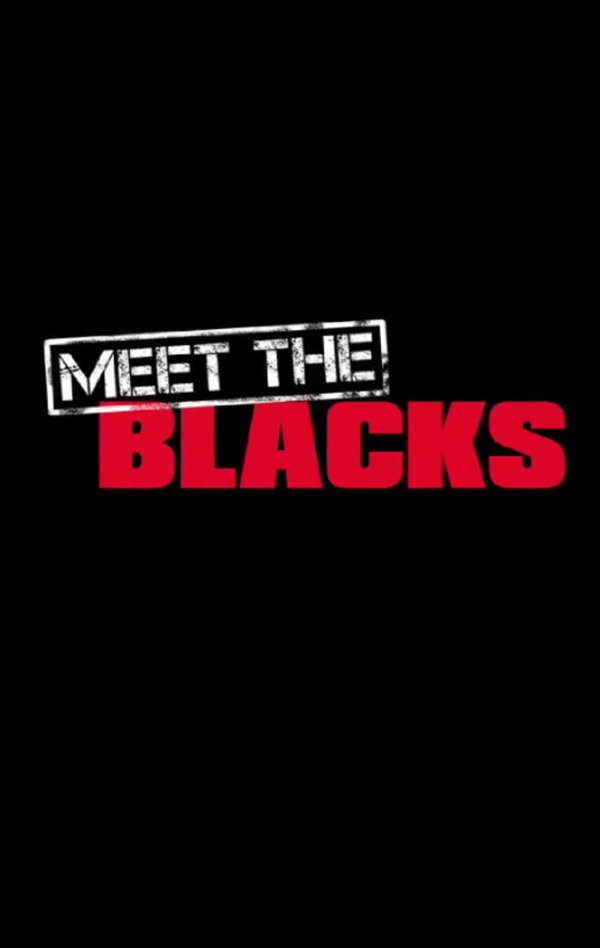 Meet the Blacks (2016) movie photo - id 289082