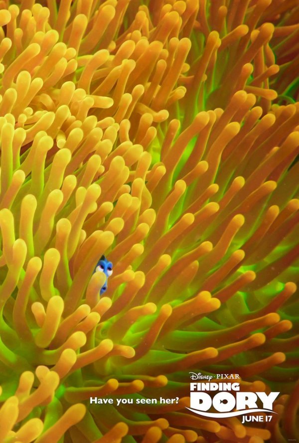 Finding Dory (2016) movie photo - id 298434