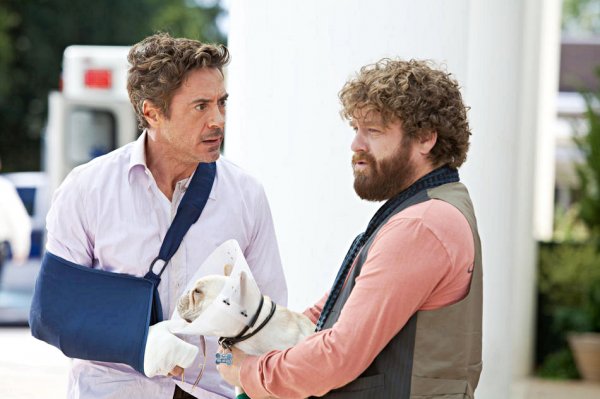 Due Date (2010) movie photo - id 30262