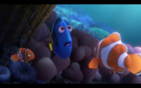 Finding Dory (2016) movie photo - id 311967