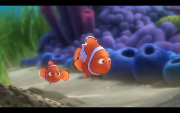 Finding Dory (2016) movie photo - id 311969