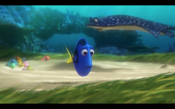 Finding Dory (2016) movie photo - id 311970