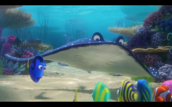 Finding Dory (2016) movie photo - id 311971
