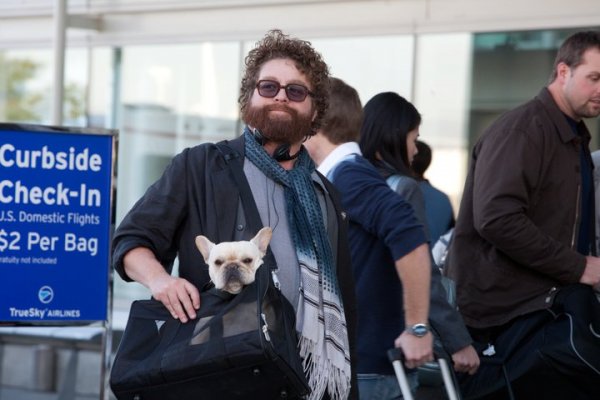 Due Date (2010) movie photo - id 31515
