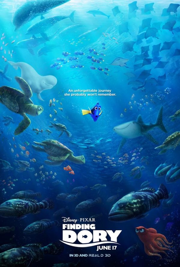 Finding Dory (2016) movie photo - id 317776