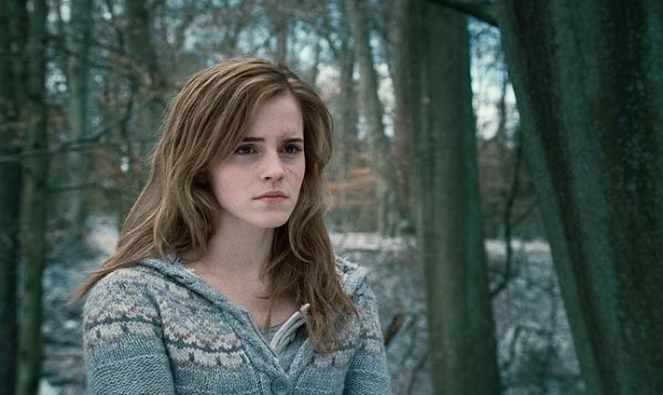 Harry Potter and the Deathly Hallows: Part I (2010) movie photo - id 31954