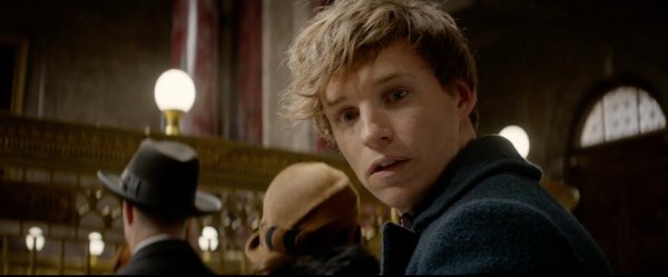 Fantastic Beasts and Where to Find Them (2016) movie photo - id 322274