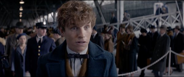 Fantastic Beasts and Where to Find Them (2016) movie photo - id 322275