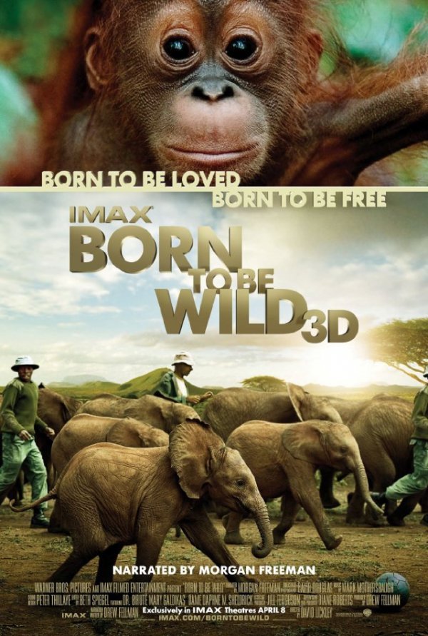 Born to be Wild (2011) movie photo - id 32789