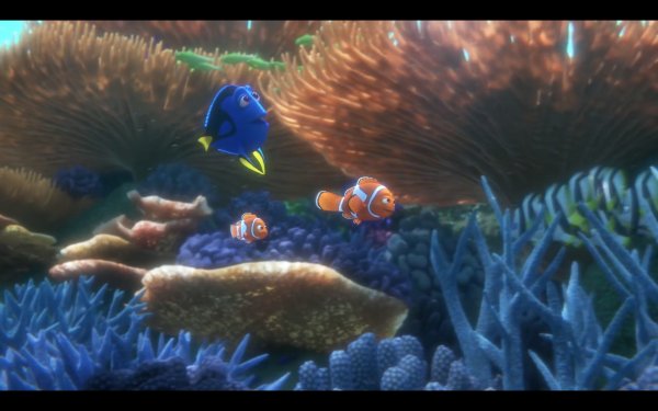 Finding Dory (2016) movie photo - id 342893