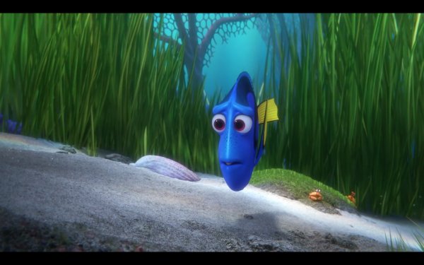 Finding Dory (2016) movie photo - id 342896