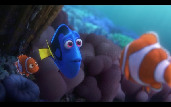 Finding Dory (2016) movie photo - id 342897
