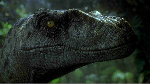 Lost World: Jurassic Park (1997) movie photo - id 36082