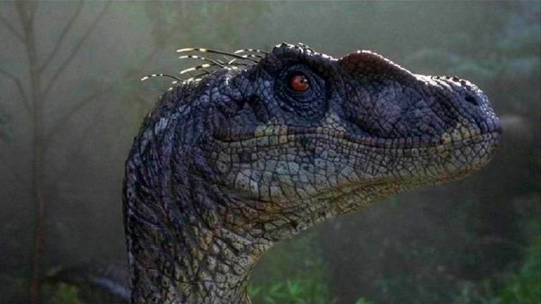 Jurassic Park III (2001) movie photo - id 36088