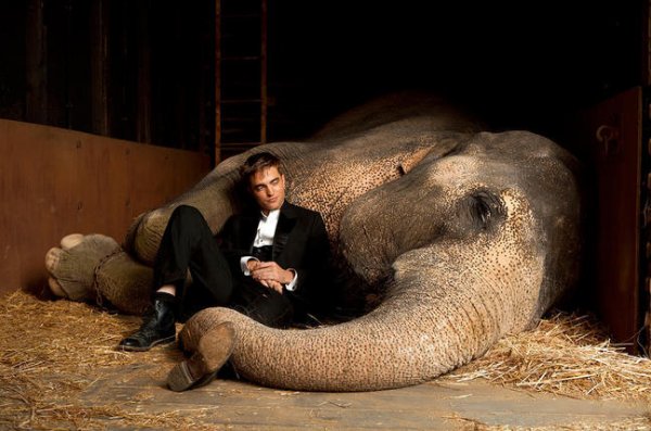 Water for Elephants (2011) movie photo - id 38074