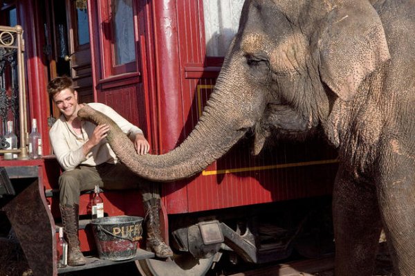 Water for Elephants (2011) movie photo - id 38080