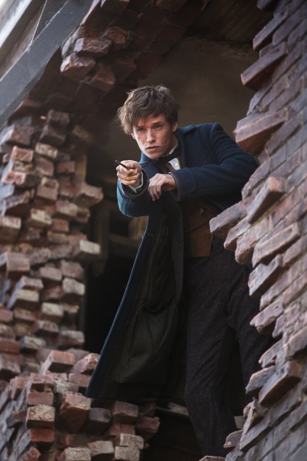 Fantastic Beasts and Where to Find Them (2016) movie photo - id 383898