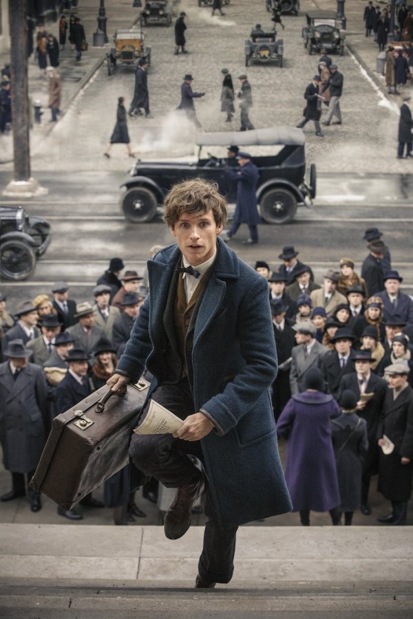 Fantastic Beasts and Where to Find Them (2016) movie photo - id 383899