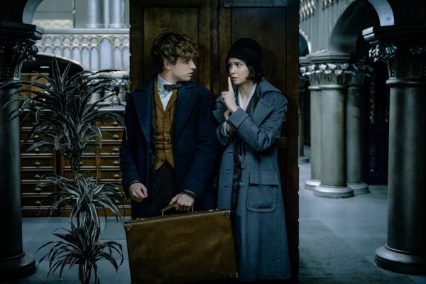 Fantastic Beasts and Where to Find Them (2016) movie photo - id 383901
