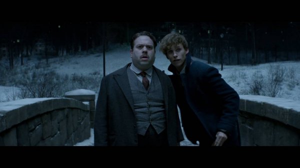 Fantastic Beasts and Where to Find Them (2016) movie photo - id 383906